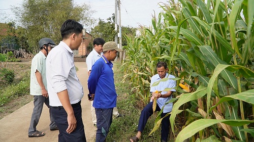 2025 CHU DONG THICH UNG CANH TAC BEN VUNG 2.jpg