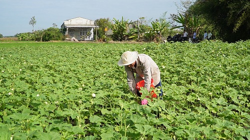 2025 CHU DONG THICH UNG CANH TAC BEN VUNG.jpg