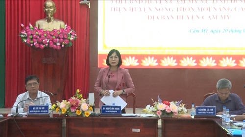 2025 UBND TINH LAM VIEC VOI HUYEN CM VE NONG THON MOI.jpg