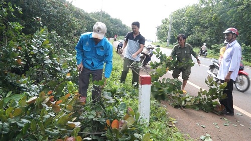 2019 HUYEN CAM MY TAO TAN HANH LANG AN TOAN LUOI DIEN.jpg