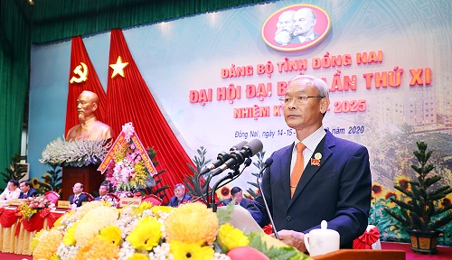 DAI HOI DAI BIEU DANG BO TINH DN LAN THU XI BE MAC.jpg