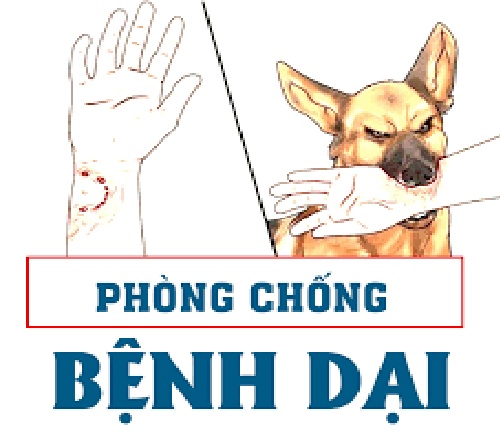 2024 PHONG CHONG BENH DAI.jpg