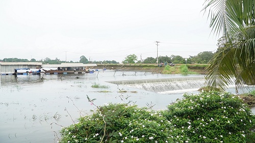 2024MUA BAO NUOC HO DAP DANG CAO 1.jpg