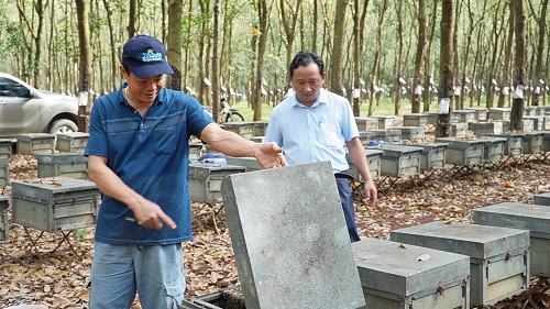 2025 NGHE NUOI ONG.jpg