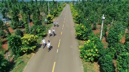 2020 HIEU QUA TU PHONG TRAO THI DUA YEU NUOC.jpg