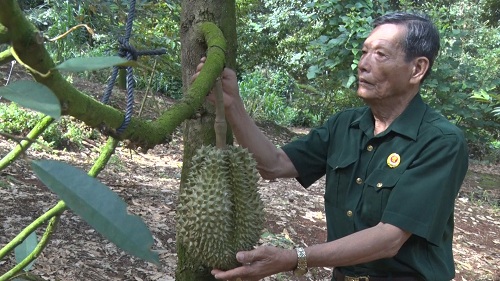 2023 CCB HO VAN NHON.jpg