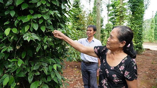 2023THOI TIET BAT LOINANG SUAT HO TIEU GIAM MANH.jpg