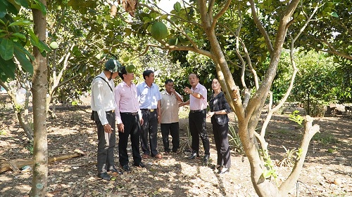 2024 BAN DAI DIEN NH CSXH TINH DN KIEM TRA GIAM SAT TAI HUYEN CM.jpg