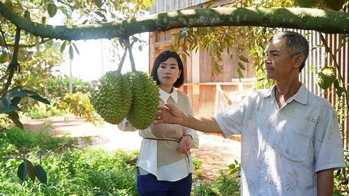 2024 CM NONG DAN KY VONG VAO VU SAU RIENG NAM NAY 2.jpg