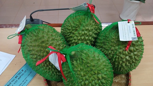 2024 HOI NGHI DANH GIA PHAN LOAI SP OCOP DOT 1 HINH 3.jpg
